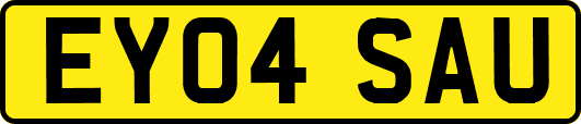 EY04SAU