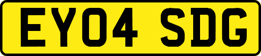 EY04SDG