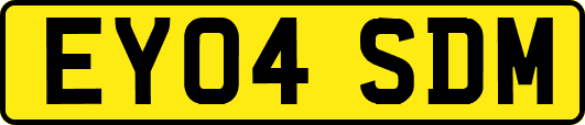 EY04SDM