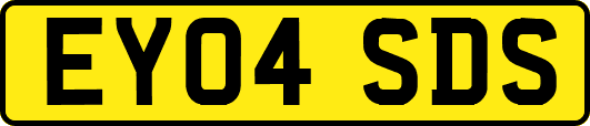 EY04SDS