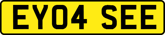 EY04SEE