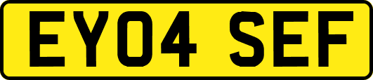 EY04SEF