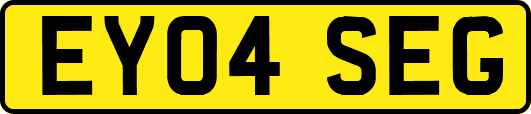 EY04SEG