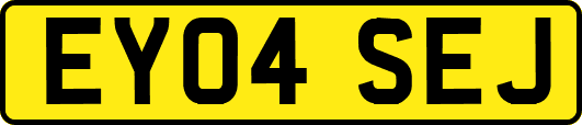 EY04SEJ