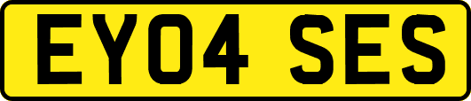 EY04SES
