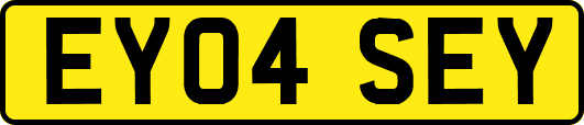 EY04SEY