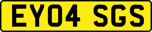 EY04SGS