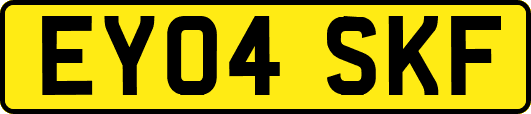 EY04SKF