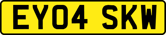EY04SKW