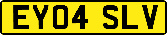 EY04SLV