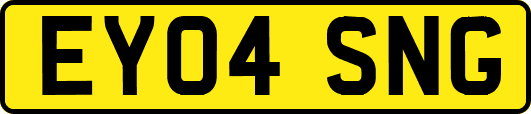 EY04SNG