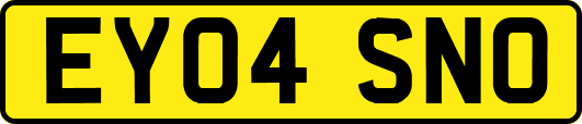 EY04SNO