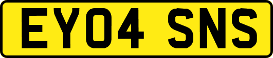 EY04SNS
