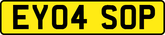 EY04SOP