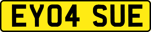 EY04SUE