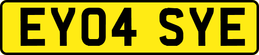 EY04SYE