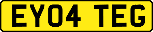 EY04TEG
