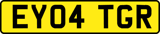 EY04TGR
