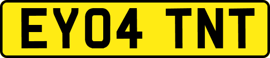 EY04TNT