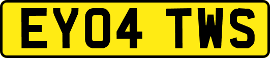 EY04TWS