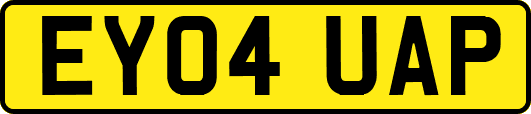EY04UAP