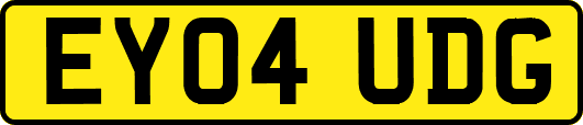 EY04UDG