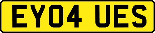 EY04UES