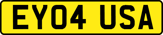 EY04USA
