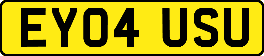 EY04USU