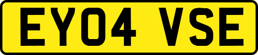 EY04VSE