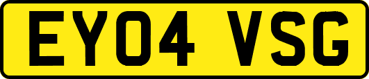 EY04VSG