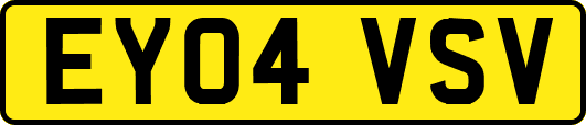EY04VSV