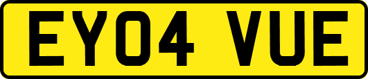 EY04VUE