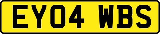 EY04WBS