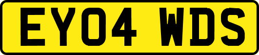 EY04WDS