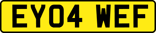 EY04WEF