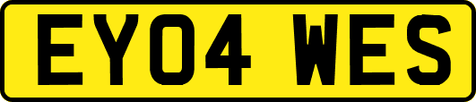 EY04WES