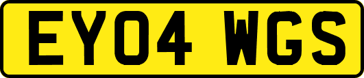 EY04WGS