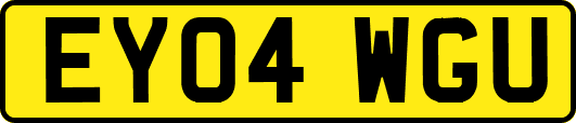 EY04WGU