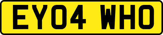 EY04WHO