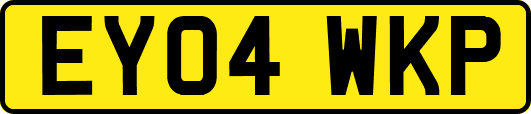 EY04WKP