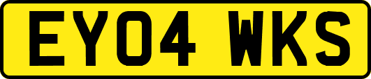 EY04WKS