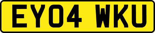 EY04WKU