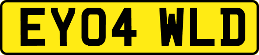EY04WLD
