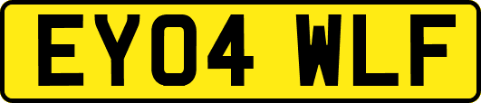 EY04WLF
