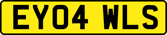 EY04WLS