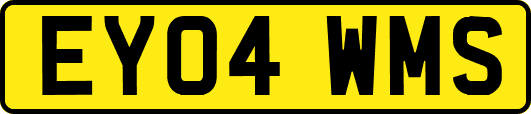 EY04WMS