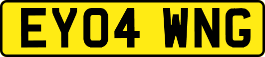 EY04WNG
