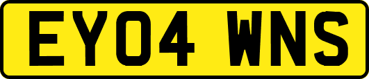 EY04WNS