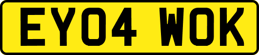 EY04WOK